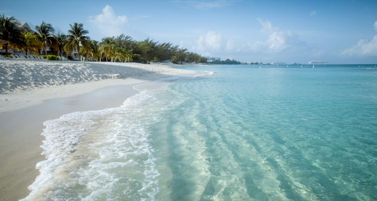 Cayman coastline