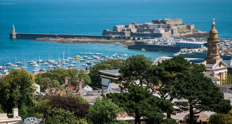 Fraud, Asset Tracing and Recovery