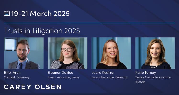 Trusts in Litigation 2025