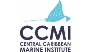 CCMI